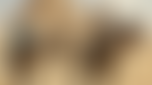Geblurrte Content-Vorschau