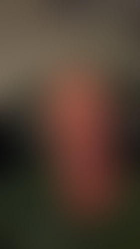 Geblurrte Content-Vorschau