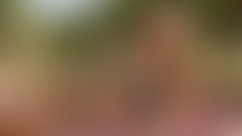 Geblurrte Content-Vorschau
