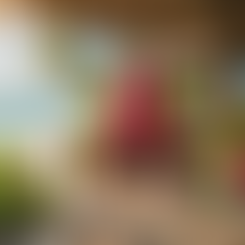 Blurred content preview