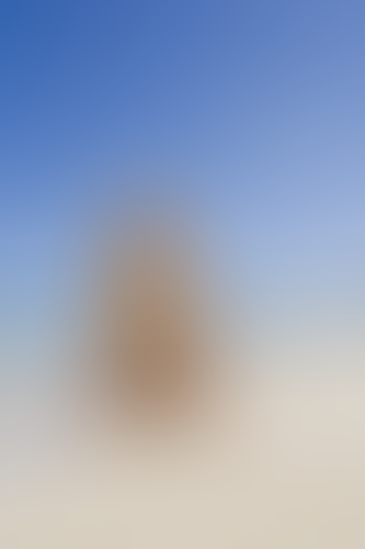 Blurred content preview