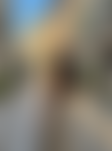 Blurred content preview