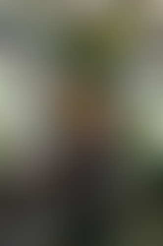 Geblurrte Content-Vorschau