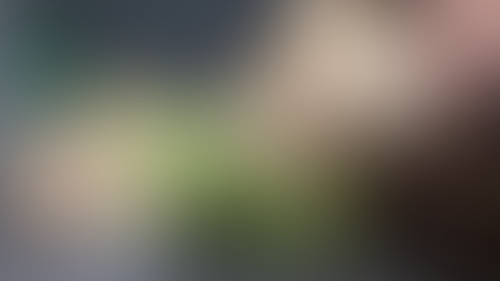 Geblurrte Content-Vorschau