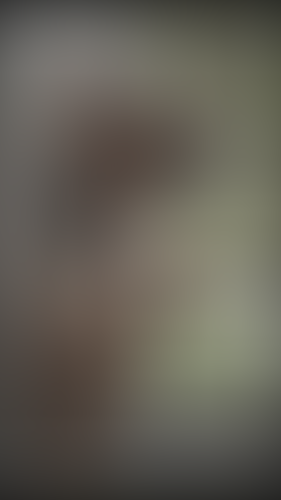Geblurrte Content-Vorschau