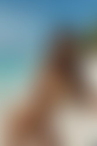 Geblurrte Content-Vorschau