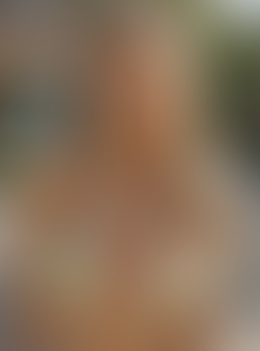 Geblurrte Content-Vorschau