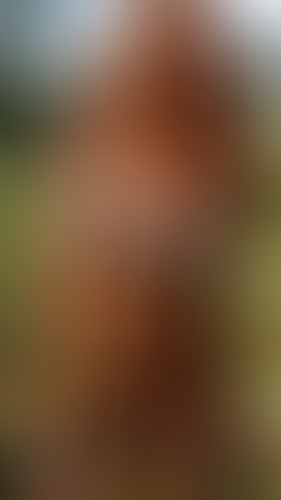 Geblurrte Content-Vorschau