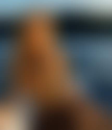 Blurred content preview