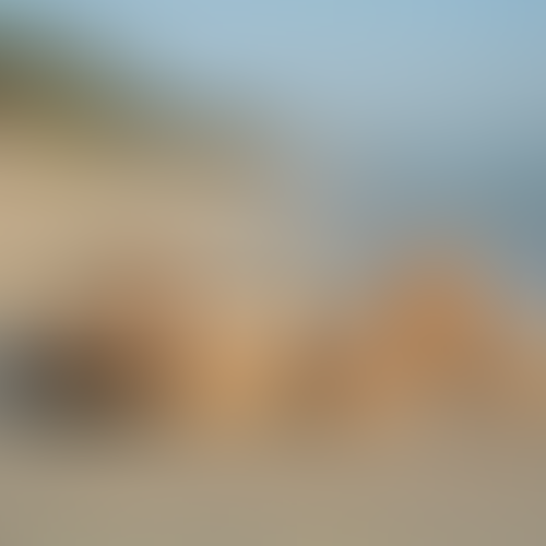 Blurred content preview