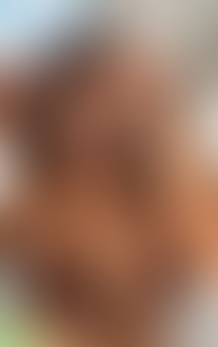 Geblurrte Content-Vorschau