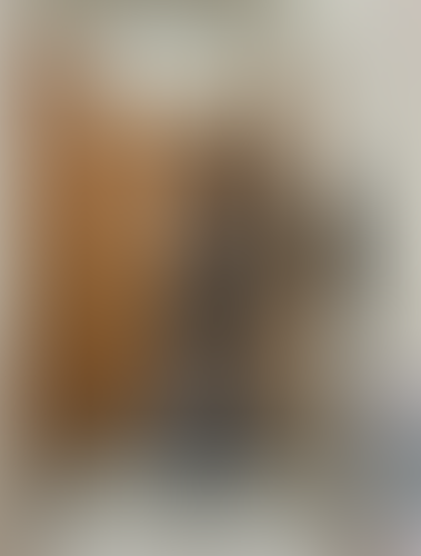 Blurred content preview