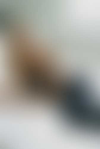 Geblurrte Content-Vorschau