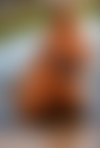 Geblurrte Content-Vorschau