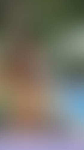 Geblurrte Content-Vorschau