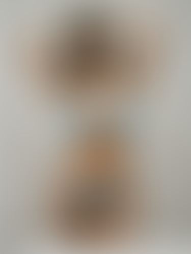 Geblurrte Content-Vorschau