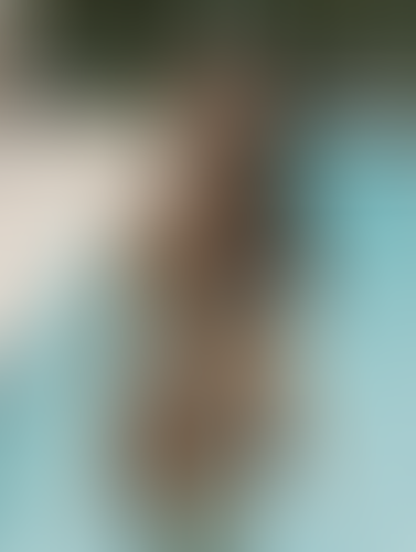 Blurred content preview