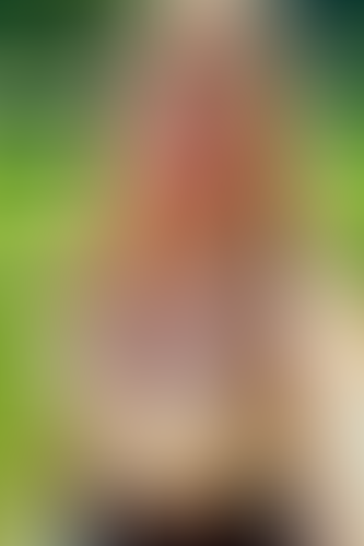 Geblurrte Content-Vorschau