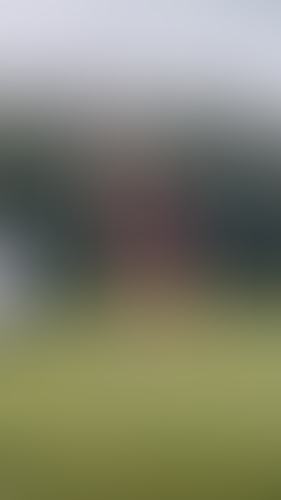 Geblurrte Content-Vorschau