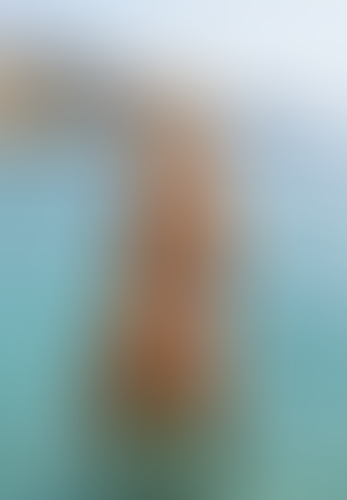 Blurred content preview