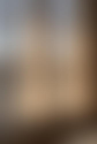 Geblurrte Content-Vorschau