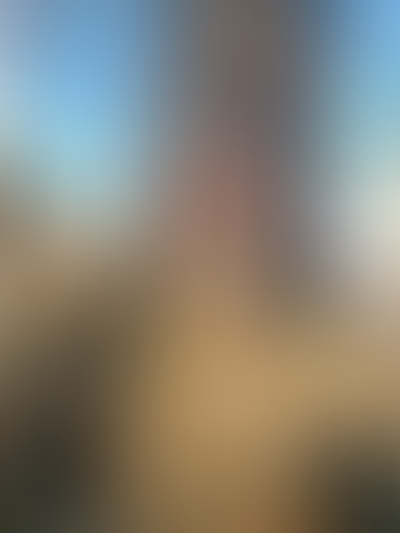 Geblurrte Content-Vorschau