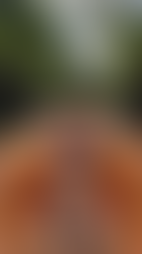 Geblurrte Content-Vorschau
