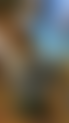 Geblurrte Content-Vorschau