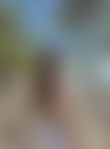 Geblurrte Content-Vorschau