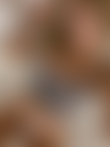 Geblurrte Content-Vorschau