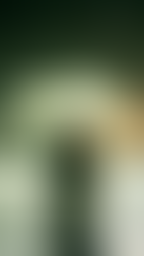 Geblurrte Content-Vorschau
