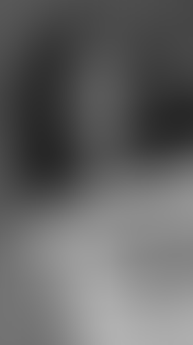 Geblurrte Content-Vorschau