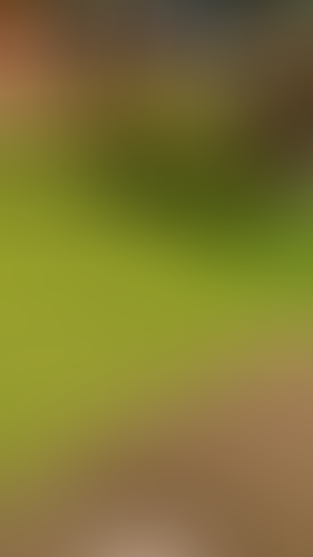 Geblurrte Content-Vorschau