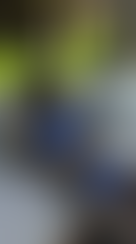 Geblurrte Content-Vorschau