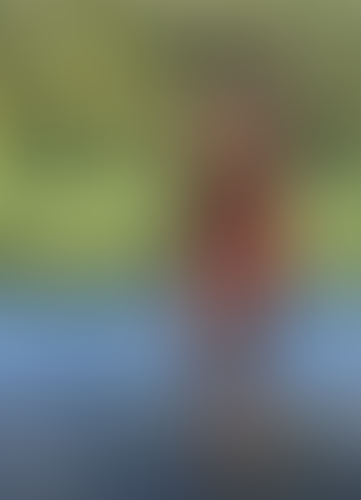 Blurred content preview