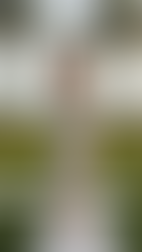 Geblurrte Content-Vorschau