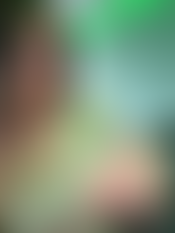 Geblurrte Content-Vorschau