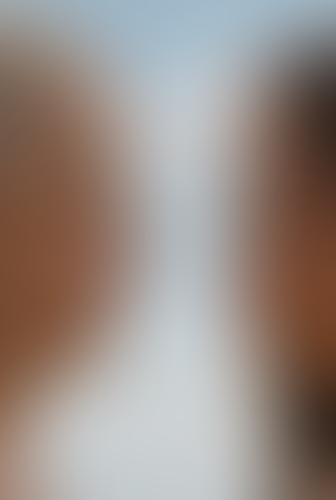 Geblurrte Content-Vorschau