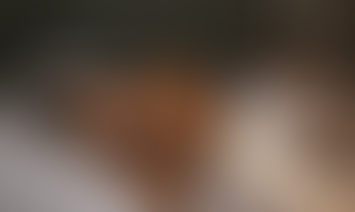 Geblurrte Content-Vorschau