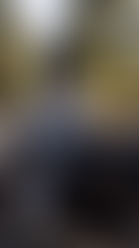 Geblurrte Content-Vorschau