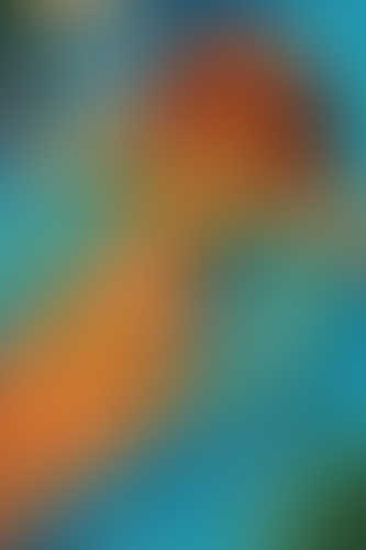 Geblurrte Content-Vorschau