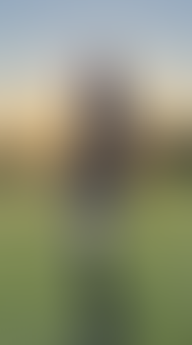 Geblurrte Content-Vorschau
