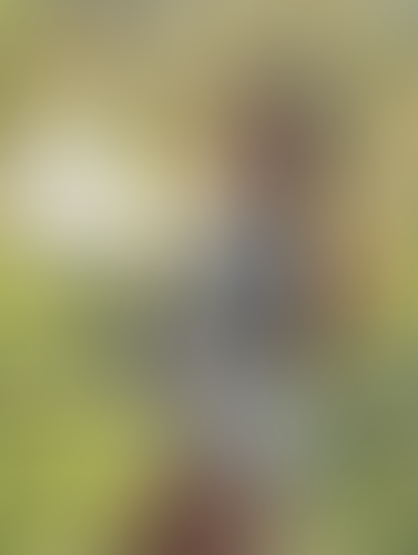 Geblurrte Content-Vorschau