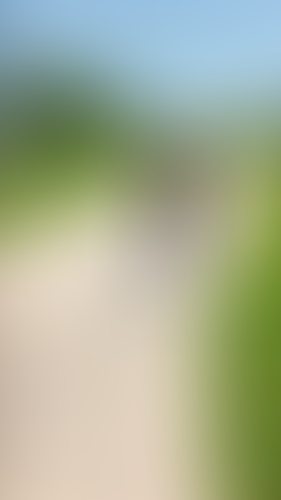 Geblurrte Content-Vorschau
