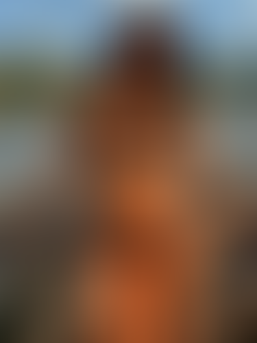 Geblurrte Content-Vorschau