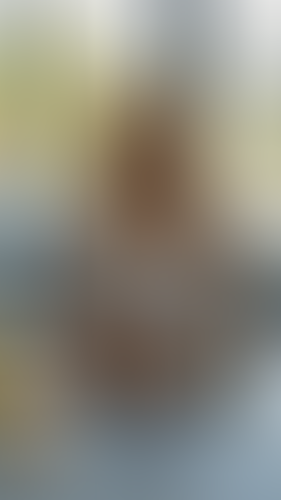 Geblurrte Content-Vorschau
