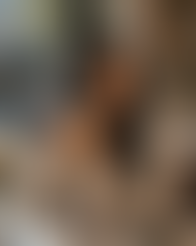 Blurred content preview