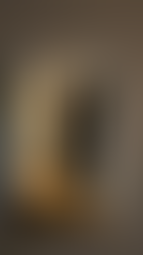 Geblurrte Content-Vorschau